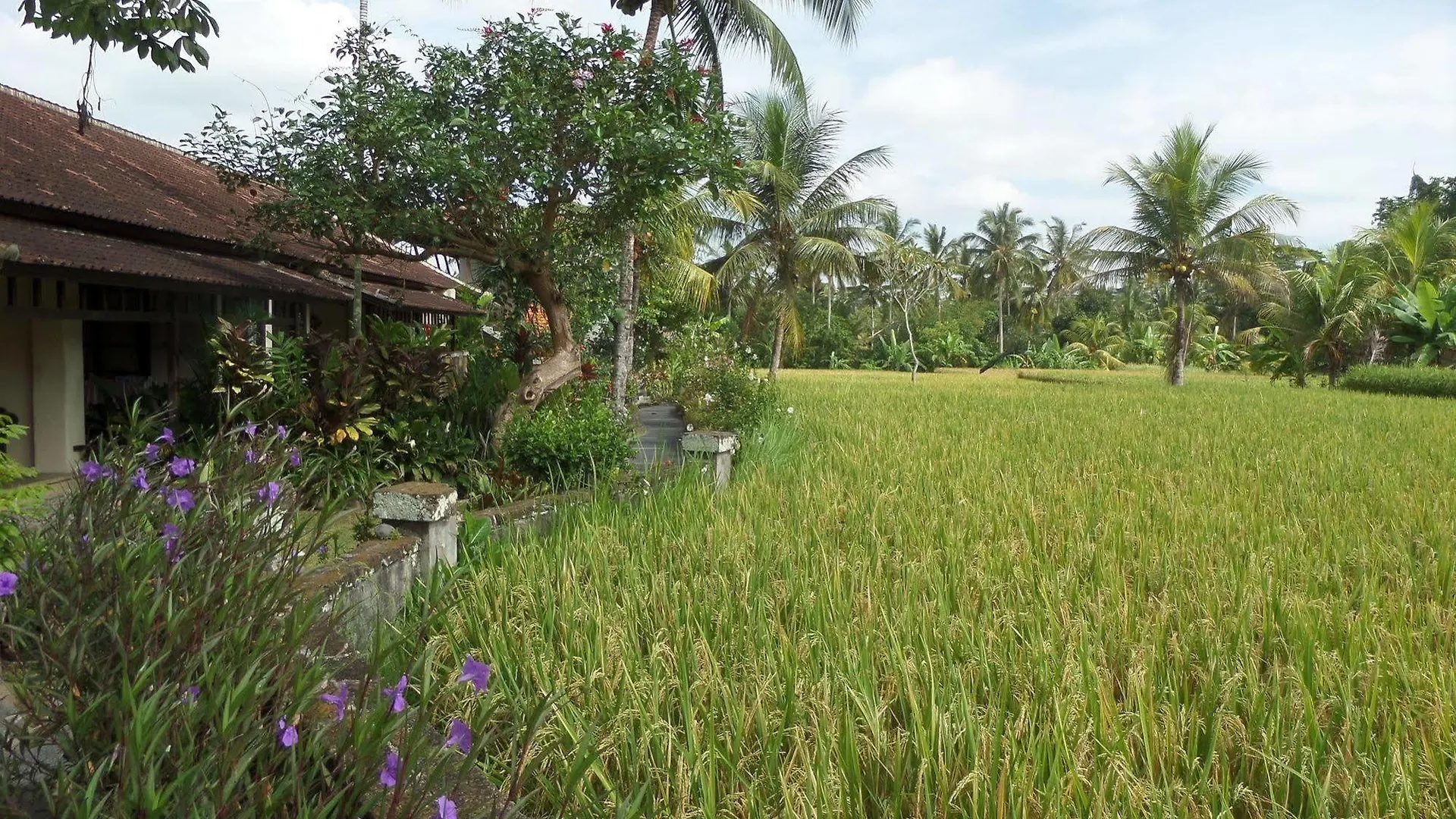 Anini Raka Resort & Spa Ubud