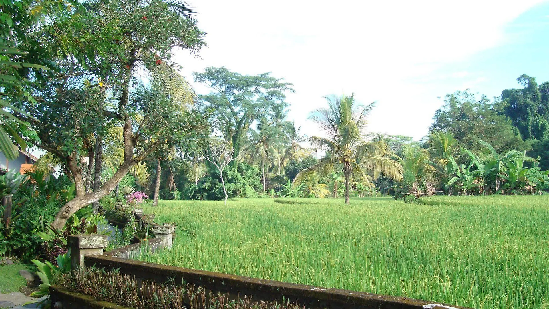Anini Raka Resort & Spa Ubud  4*, Ubud (Bali)
